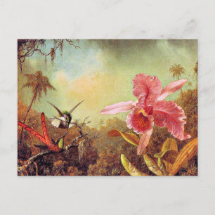 Orchid med två Hummingbird, konsmålning av bra, Vykort