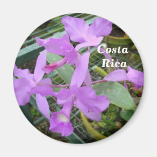 Orchid -- Medborgareblomma av Costa Rica Magnet