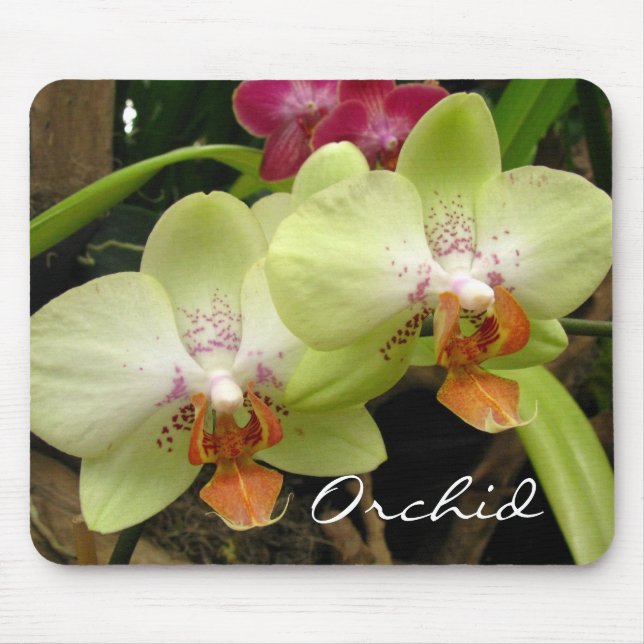 Orchid Mousepad Musmatta (Framsidan)
