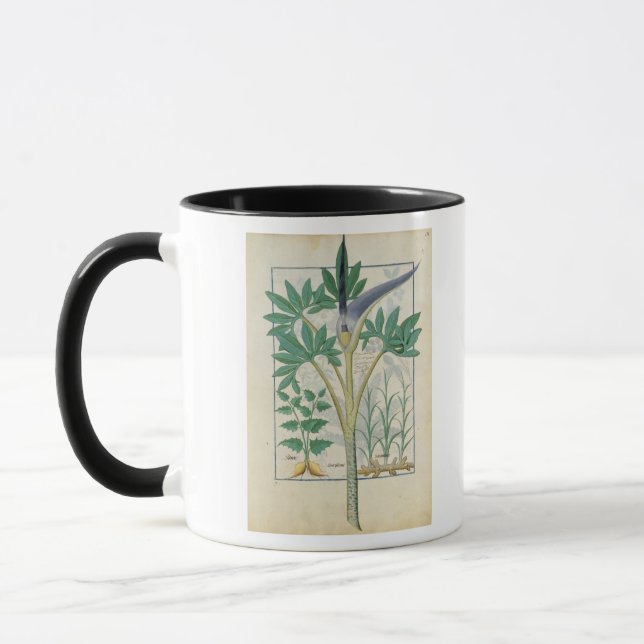Orchid Mugg (Vänster)