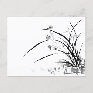 Orchid Nobility Vykort