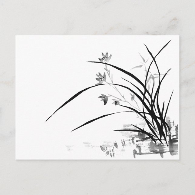 Orchid Nobility Vykort (Framsida)