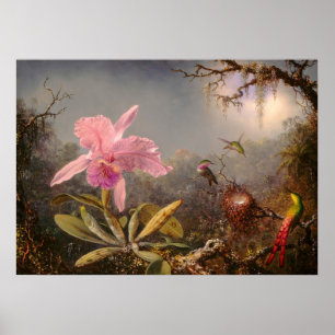ORCHID OCH TRE HUMINGBIRDS POSTER