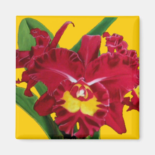 Orchid Oil on Canvas Magnets Magnet (Framsidan)