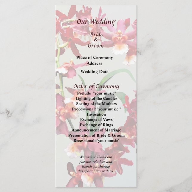 Orchid Oncostele Hilo Firecracker - nyårsprogram Program (Framsida)