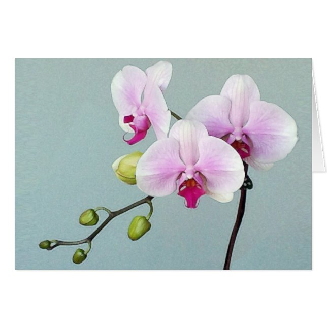 Orchid Orji-kort OBS Kort (Framsidan Horizontal)