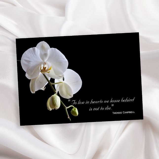 Orchid på svart Tack för din sympati (Skapare uppladdad)