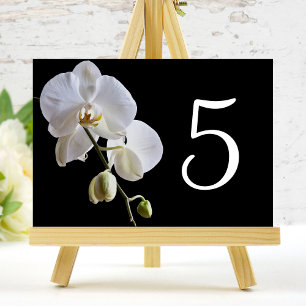 Orchid på svarta Bordsnummer