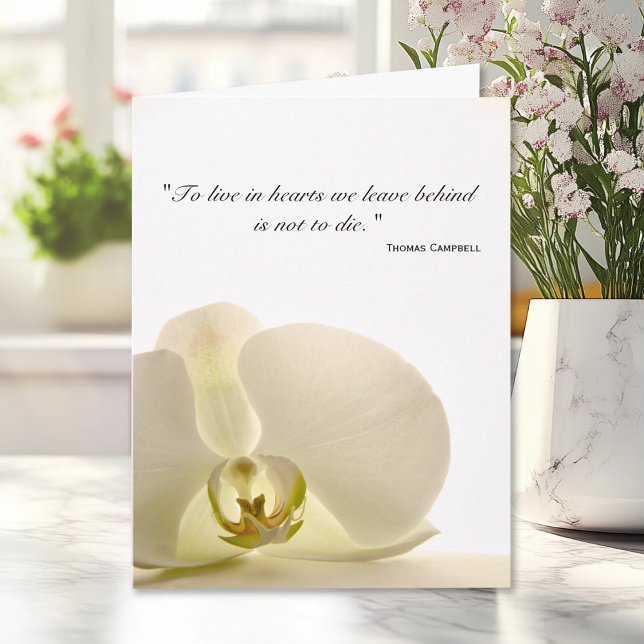 Orchid på vit sympati Tack (Skapare uppladdad)