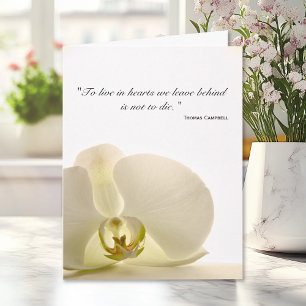 Orchid på vit sympati Tack Kort