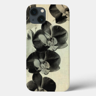 Orchid paneler III
