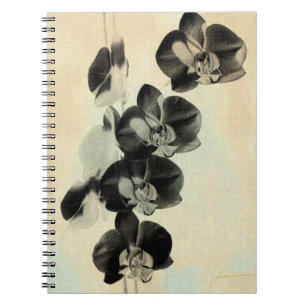 Orchid paneler III Anteckningsbok Med Spiral