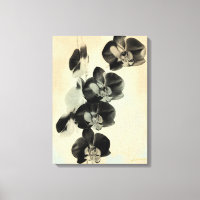Orchid  paneler III