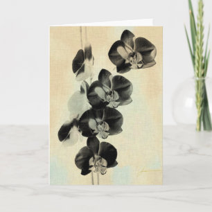 Orchid paneler III Kort