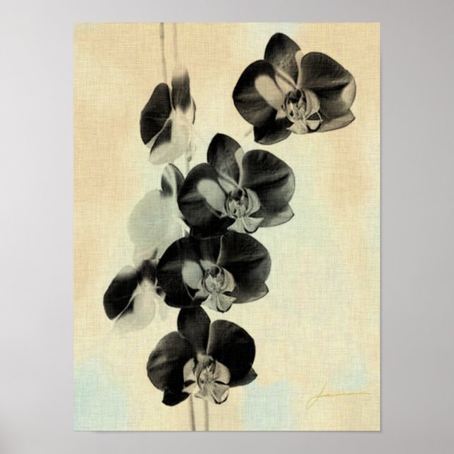 Orchid  paneler III Poster (Framsidan)