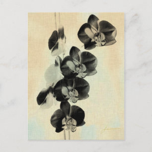 Orchid paneler III Vykort