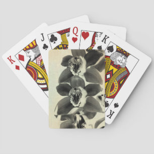 Orchid paneler IV Casinokort