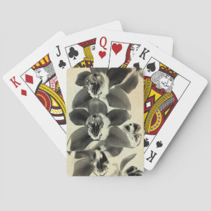 Orchid paneler IV Casinokort