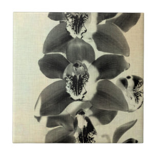 Orchid paneler IV Kakelplatta
