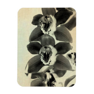 Orchid paneler IV Magnet