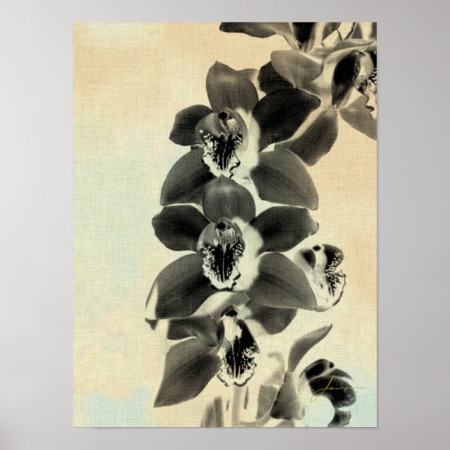 Orchid  paneler IV Poster (Framsidan)