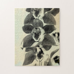 Orchid paneler IV Pussel