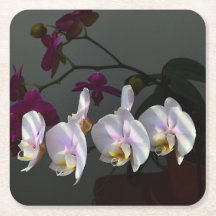Orchid Papper Underlägg
