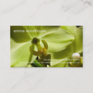 Orchid •, Personlig visitkort