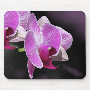 Orchid Phalae Mousepad Musmatta