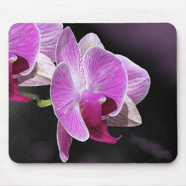 Orchid Phalae Mousepad Musmatta (Framsidan)