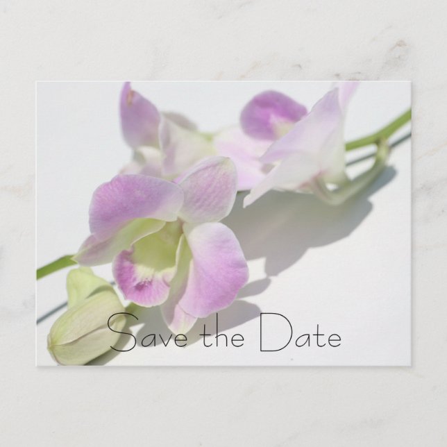 Orchid Photo Save Date Postcard Meddelande Vykort (Framsida)