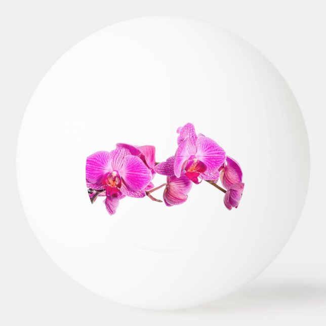 Orchid Pingisboll (Baksidan)