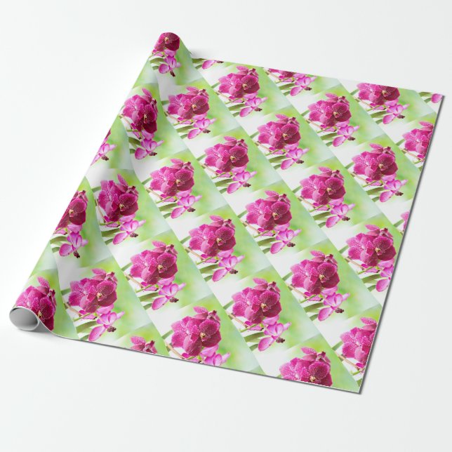 orchid presentpapper (Utrullad)