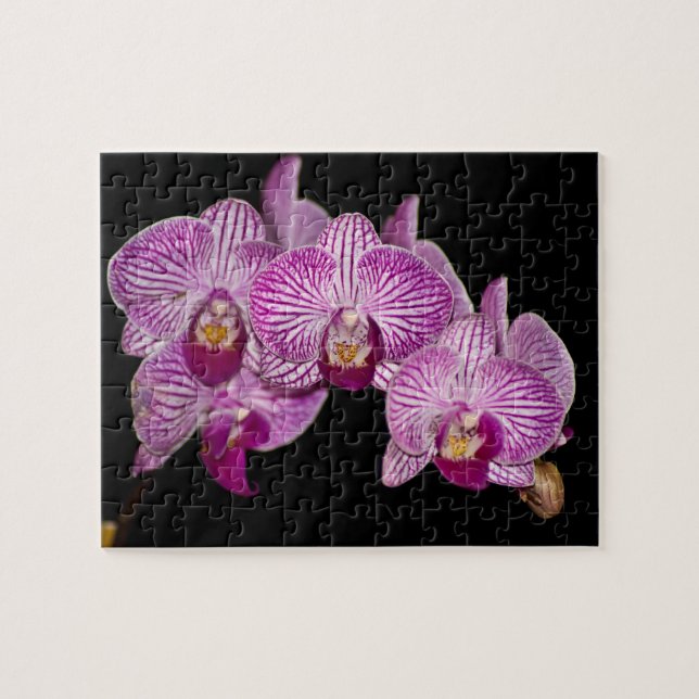 Orchid Puzzle Pussel (Horisontell)