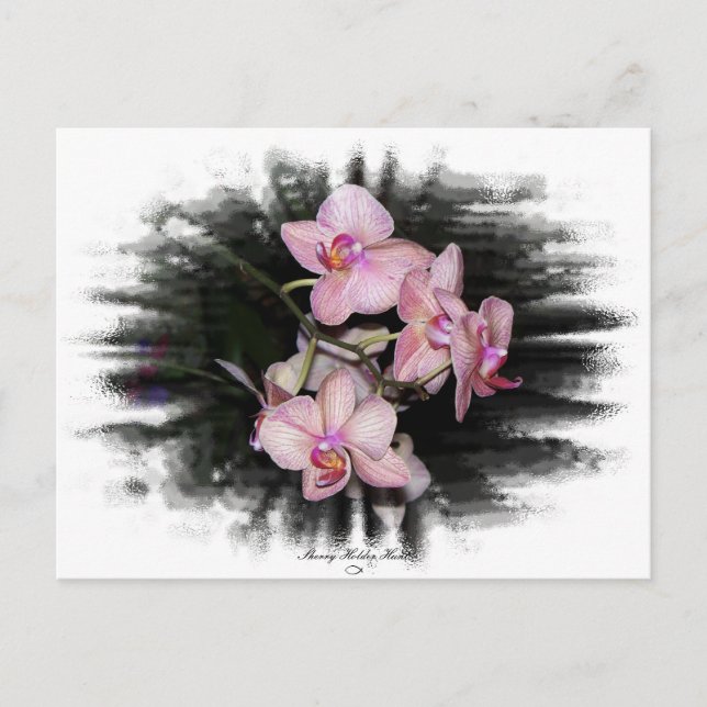 Orchid Ram 1 Vykort (Framsida)