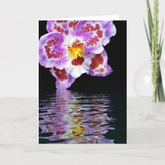 Orchid Reflection Kort