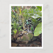 Orchid Room Stick figurer 1 | Phipps Conservatory