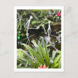 Orchid Room Stick figurer 2 | Phipps Conservatory Vykort