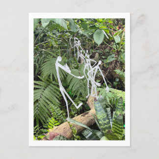 Orchid Room Stick figurer 3 | Phipps Conservatory Vykort