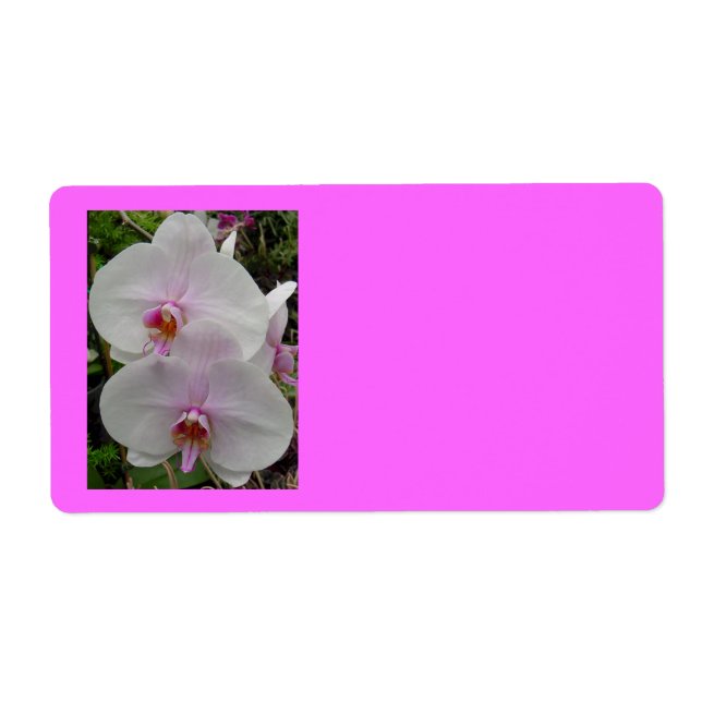 Orchid - Rosa Blommar (Colossians 2:3) Fraktsedel (Framsidan)
