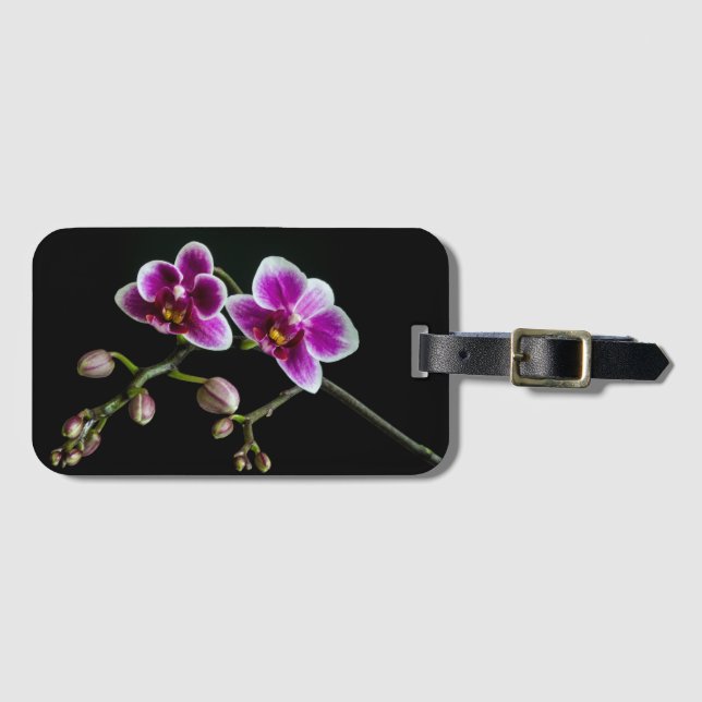 Orchid rosa white färg på svart blek skonsam bagagebricka (Framsida horisontal)