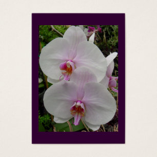 Orchid - rosablommar (den Colossians 2:3) Visitkort