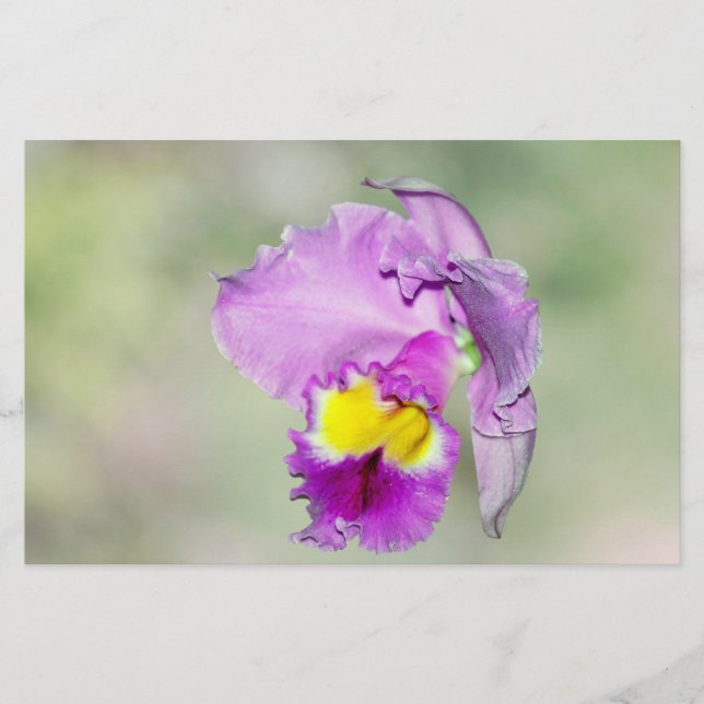 Orchid som Gud har rört vid Mamma (Framsida)