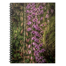 Orchid Spiral Photo Notebook Anteckningsbok