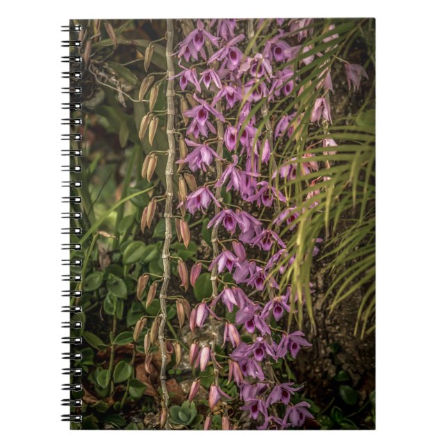 Orchid Spiral Photo Notebook Anteckningsbok (Framsidan)