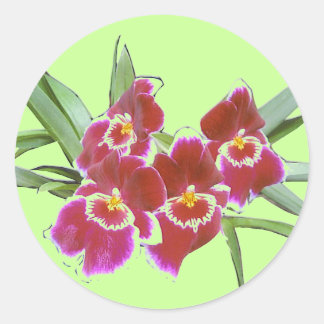 Orchid Spray Sticker-försegling Runt Klistermärke
