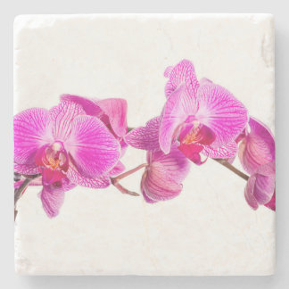 Orchid Stenunderlägg