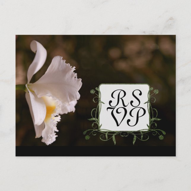 Orchid-svarskort Inbjudan Vykort (Framsida)
