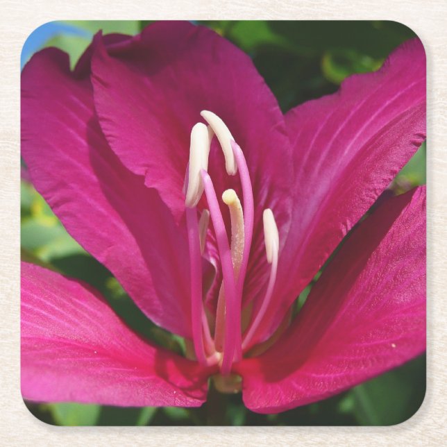 Orchid Träd Blommar Tropical Blommigt Underlägg Papper Kvadrat (Framsidan)