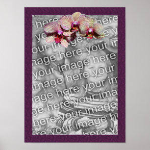 Orchid Trio Ram Lägg till ditt foto Poster